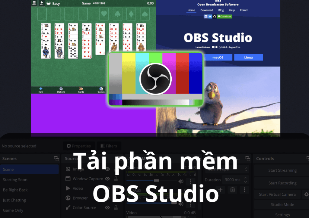Tải Phần Mềm OBS Studio